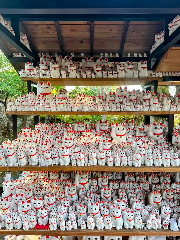 還有人幫招財貓準備小坐墊