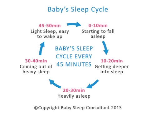嬰兒的睡眠週期