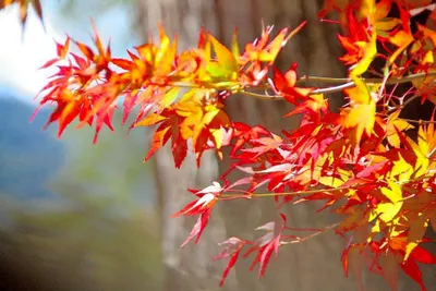 輕輕跟2025 SAY BYE ~