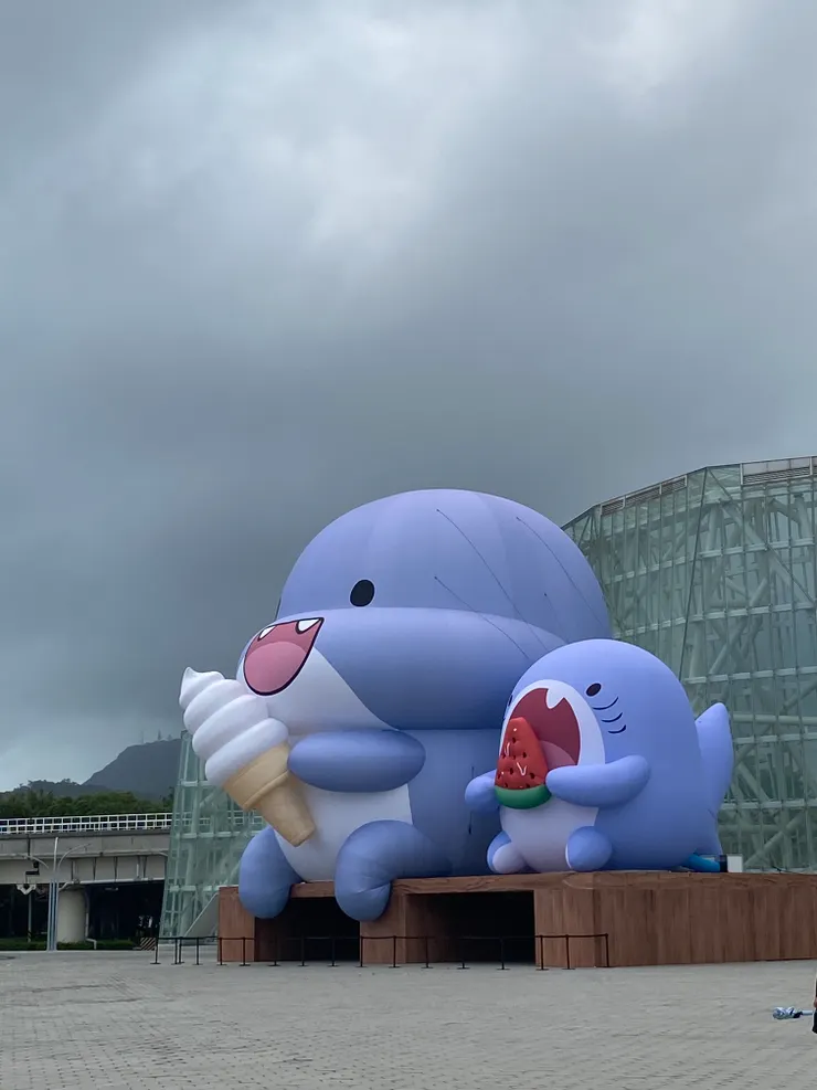 胖沙魚鯊西米&哇鯊米