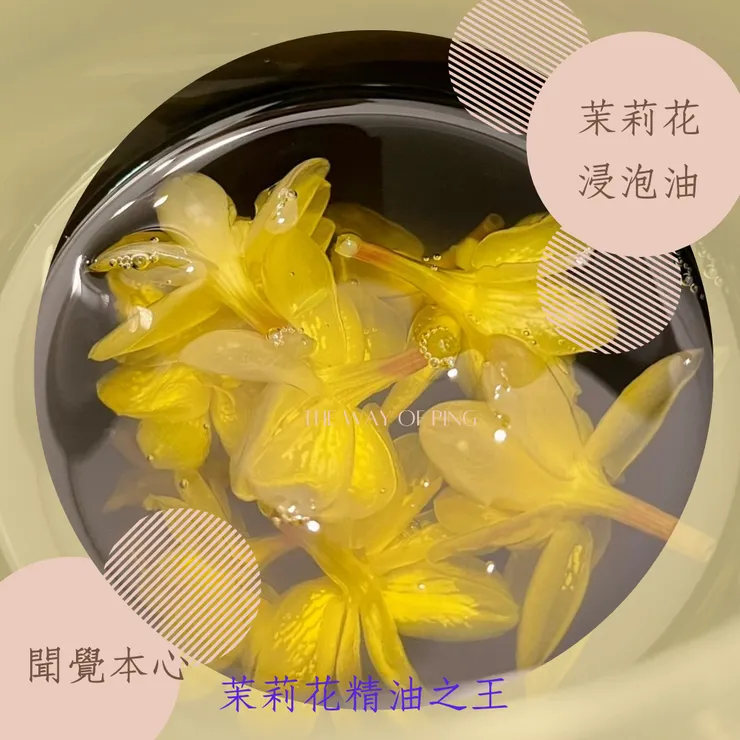 茉莉花與荷荷芭油