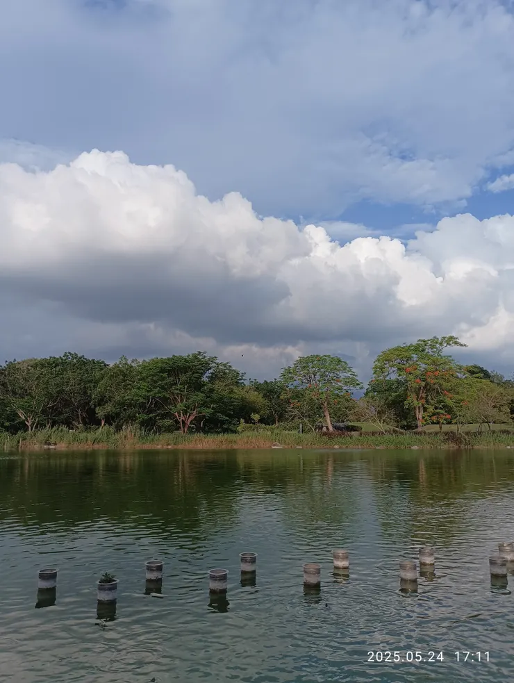 日斜映樹湖青綠，自拍攝