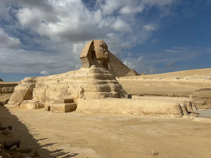像坐在大貓貓盆裡面的人面獅身像