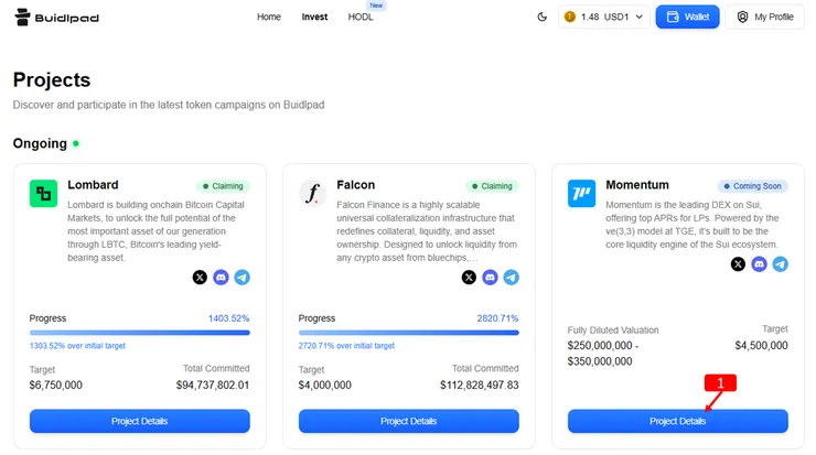 Buidlpad 上的 Momentum 打新