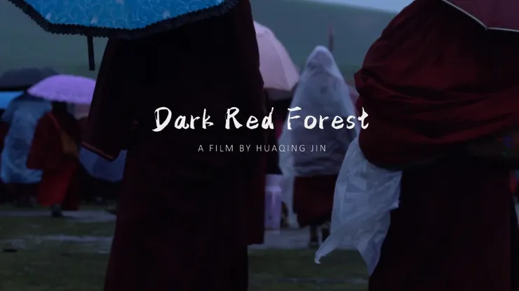 Dark Red Forest, 2021