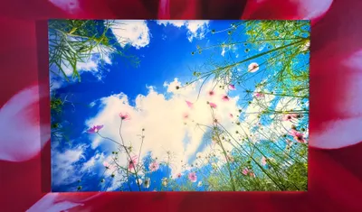 像芙莉蓮一樣生活——享受正在經過的人生