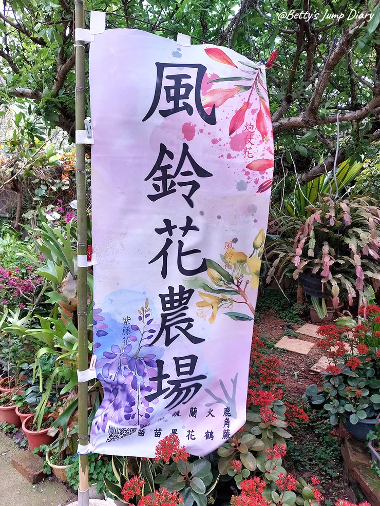 ▲風鈴花農場 新埔詹家黃金風鈴木/圖片來源:Betty's Jump Diary
