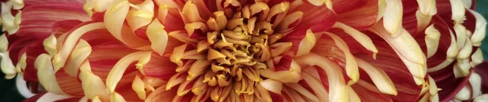 笑看小說別當真--練習簿