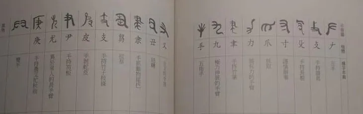 各種不同型態的手