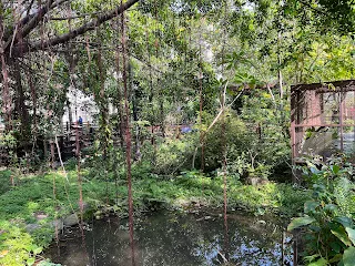 &nbsp; 就像在顯微鏡發明前，人們以為螞蟻之類的昆蟲就已經是極小了，沒想到這世界還有細菌的存在。感受不到，並不代表不存在！不要以他人是否有回應，或者自己有沒有任何的身體感受來作為判斷有用或沒用的判斷標準。每一個人都可以找到自己無論如何都想做，即使是不會因此獲得名或利，也會繼續想做。