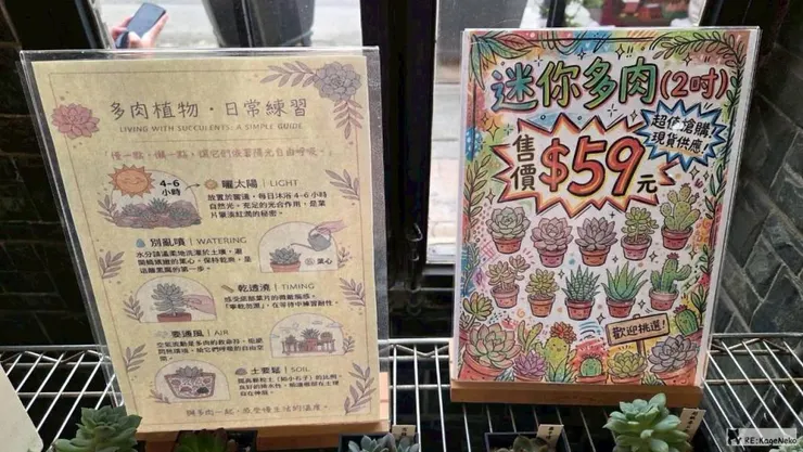 迷你多肉