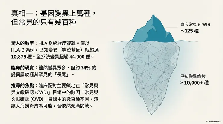 圖片作者：NotebookLM