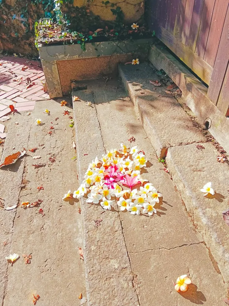 淡大附近  梵靈乾坤工作室提供