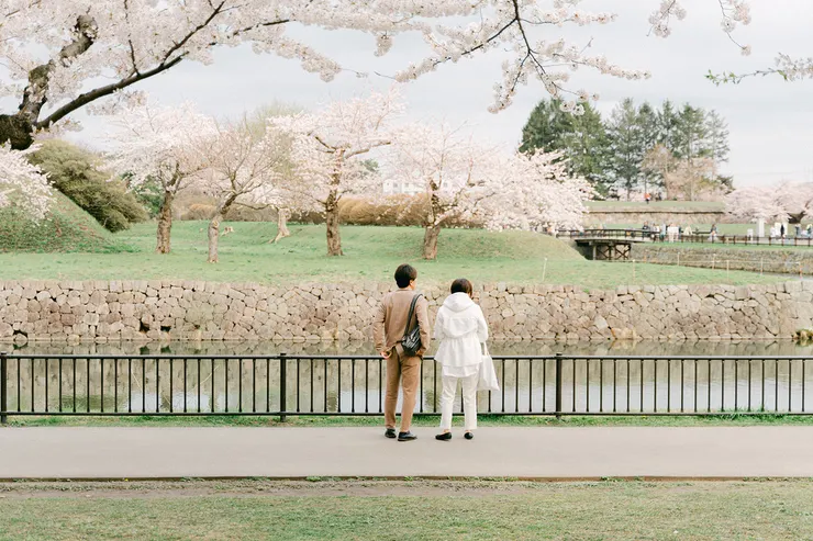 情侶賞櫻花