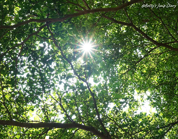 ▲臺灣百大創享家 第六期 西羅亞 SILOAM 專篇/圖片來源：Betty's Jump Diary