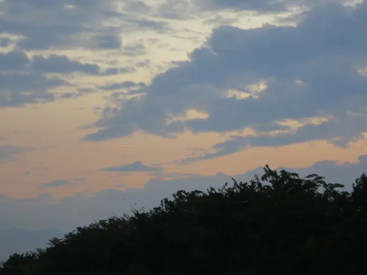 雲層太厚，所以沒有拍到日出，只有一點點晨光