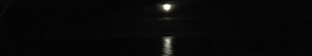 寓居女子辭典的沙龍