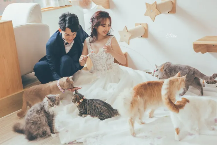 照片取自伊莉婚紗