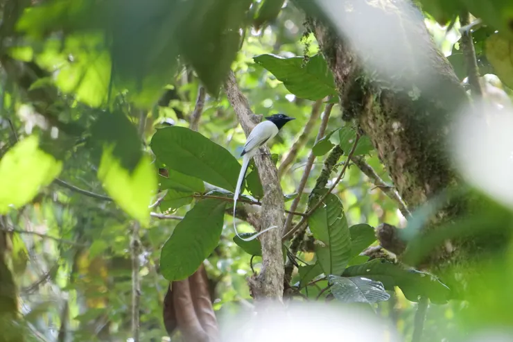 感謝！難得牠停了下來，十分難得！