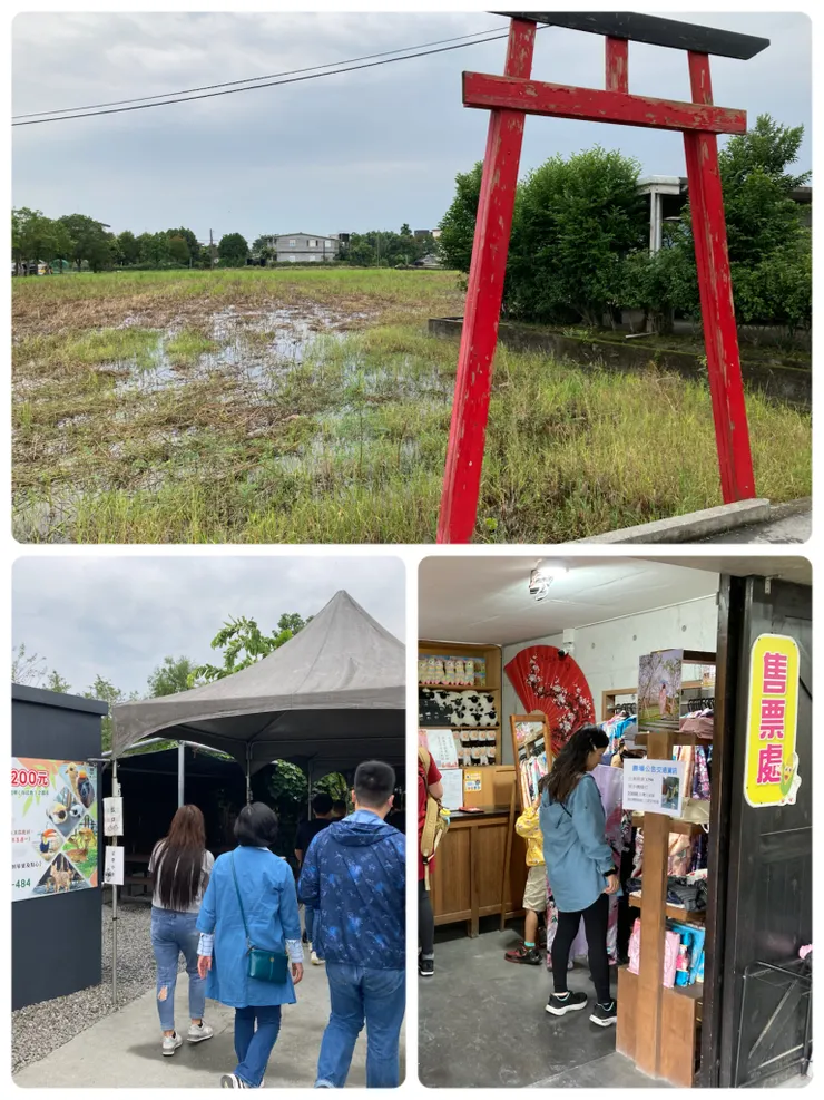 門口就可以看到紅色鳥居！好特別！