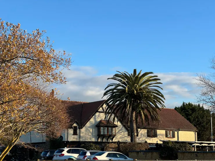 我們家附近的小酒館