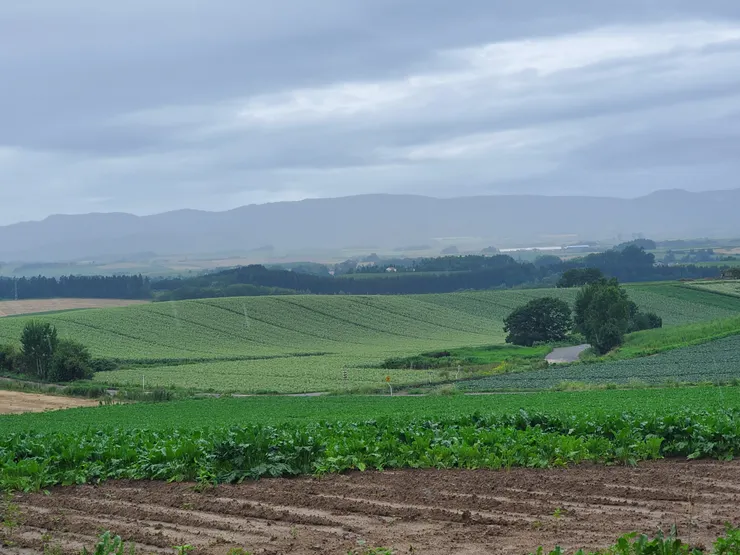 開車很難停下來拍