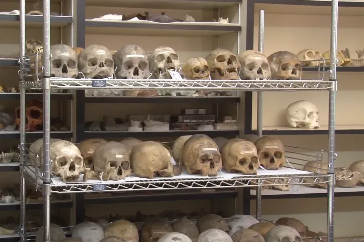 圖片來源：Penn Museum