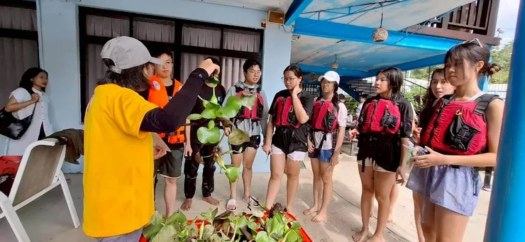 布袋蓮結合教學與環保概念