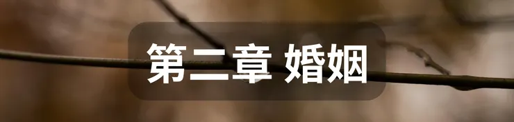 第二章 婚姻