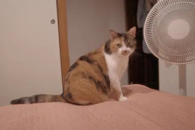 中年