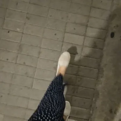 利里安兒的沙龍