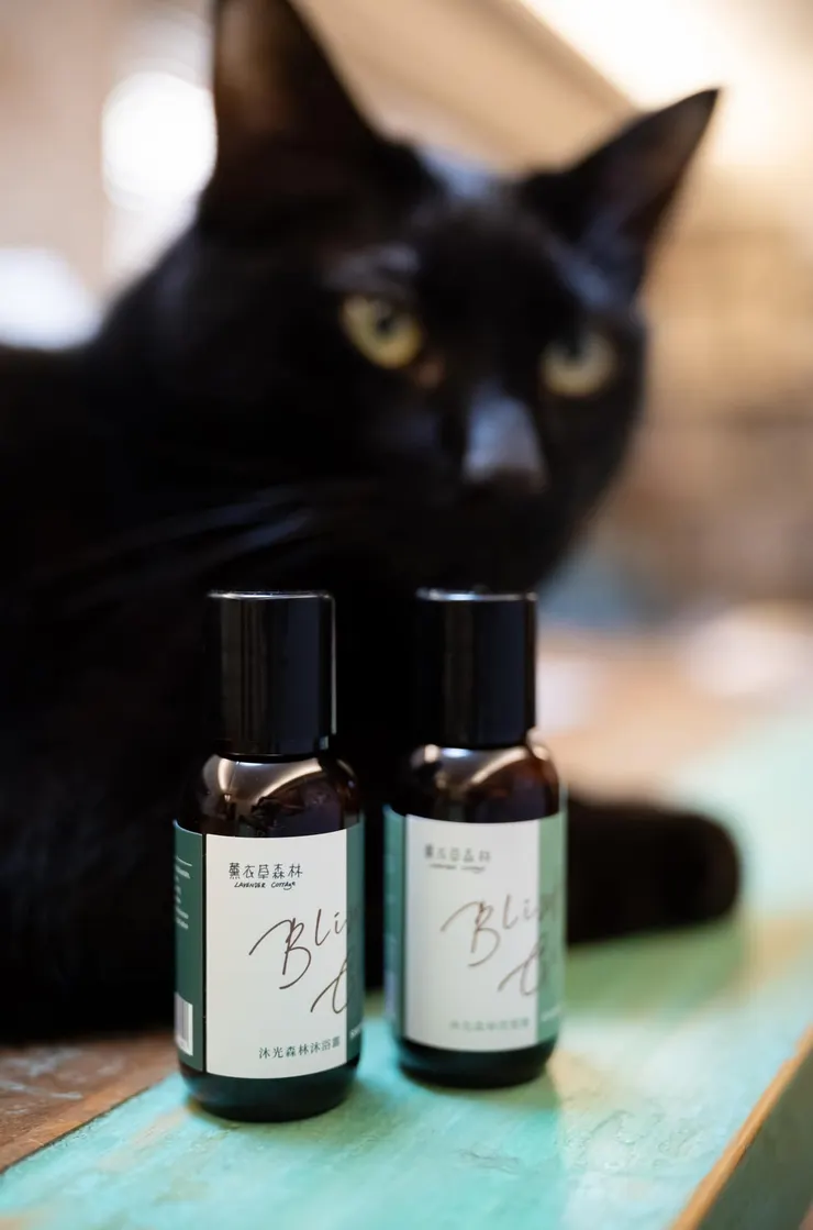 沐光森林旅行組，環保又可愛！