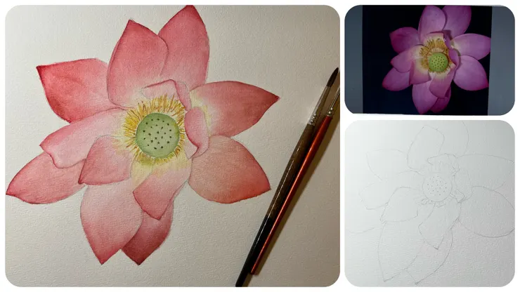 圖 YHCC＠水彩練習, FEB2023, W28 夏荷 38x26cm 