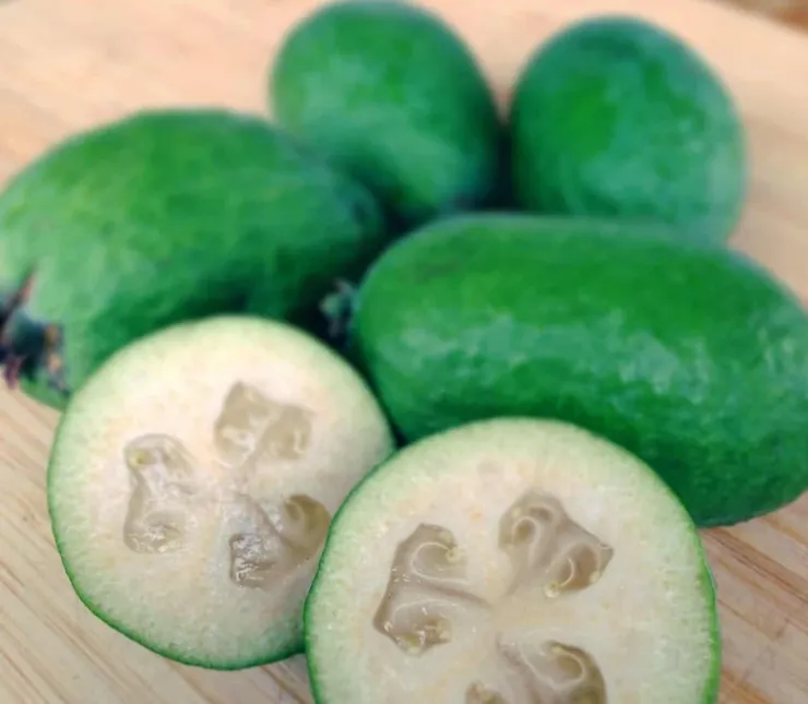 相片取自網際網路