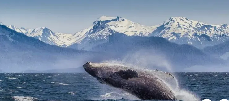 冰河國家公園 (Glacier)