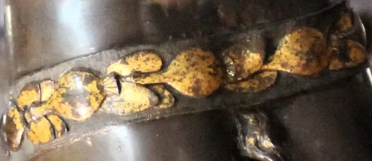 圖二十三：罌粟花莢果的細節