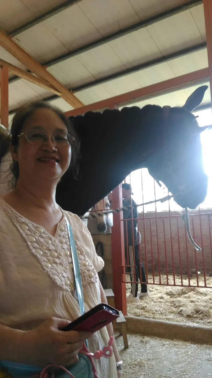 媽媽摸到馬的照片