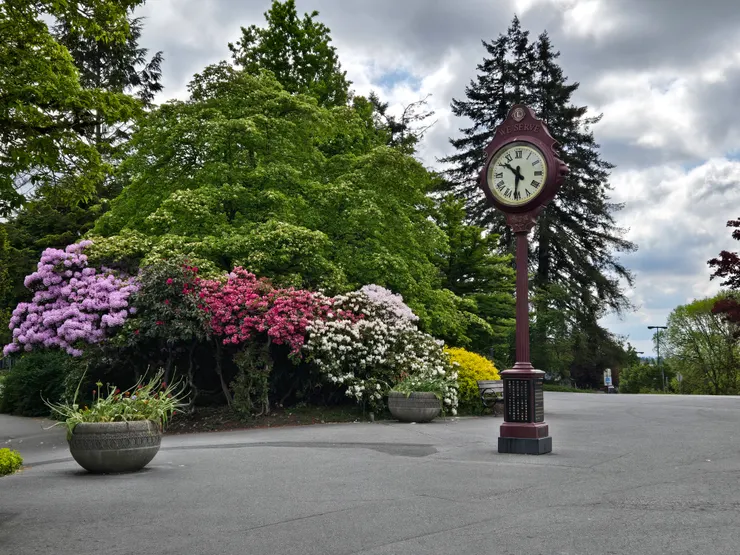 圖六、獅子會時鐘
