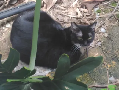 若無其事的活著的沙龍