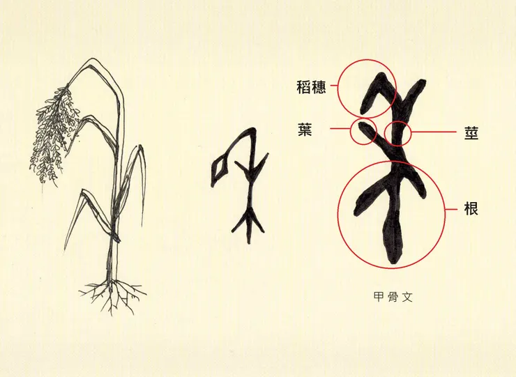 大禾邸家-禾字