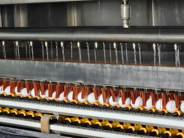 臺南蛋品建置自動化洗選設備與長期契作模式，在氣候劇烈波動與春節需求高峰期，仍能維持穩定產能。（資料來源：臺南蛋品）