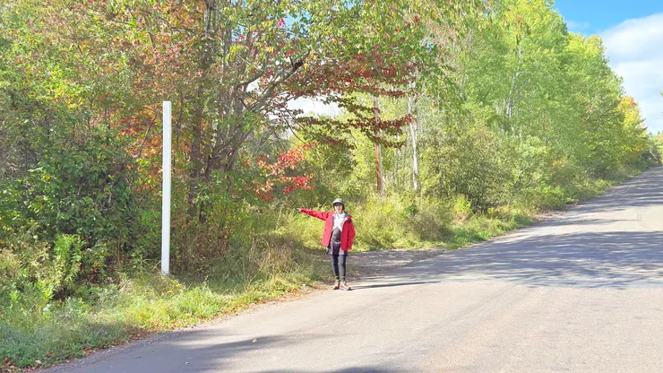 在白色柱子靠左邊放空檔，車子會自己退回出發點。