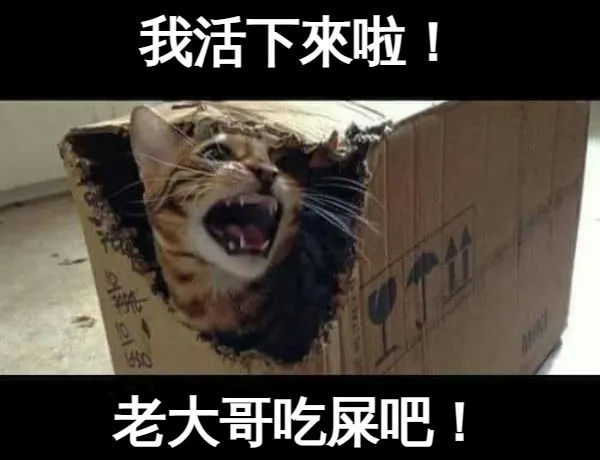 編輯終於完成後，我自己默默做了這張圖