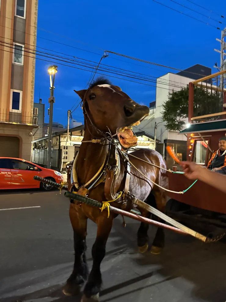 開心吃紅蘿蔔，這個餵食真的需要點勇氣，哈哈!