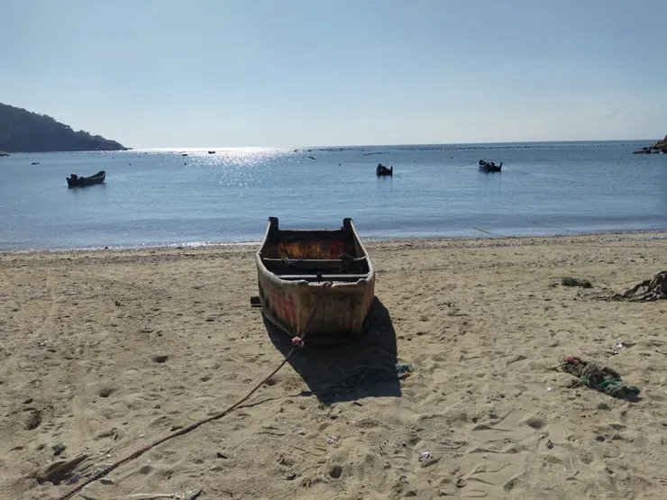 旁邊的沙灘海域是淡菜養殖場,偶爾也會舉辦走讀活動和大家介紹淡菜