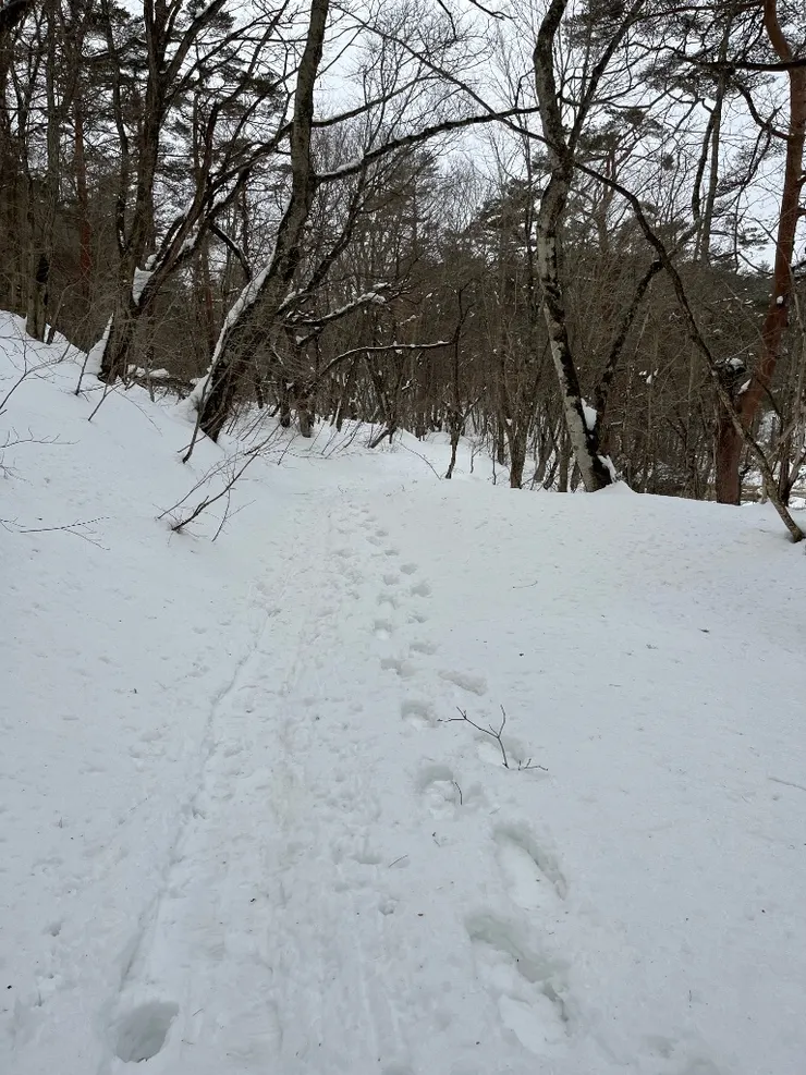 左下方的大洞就是踩錯地方的代價