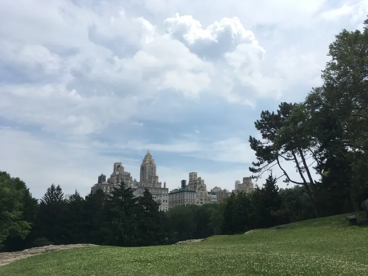 Photo: Zora, Central Park, NY. (Jul. 17, 2019)