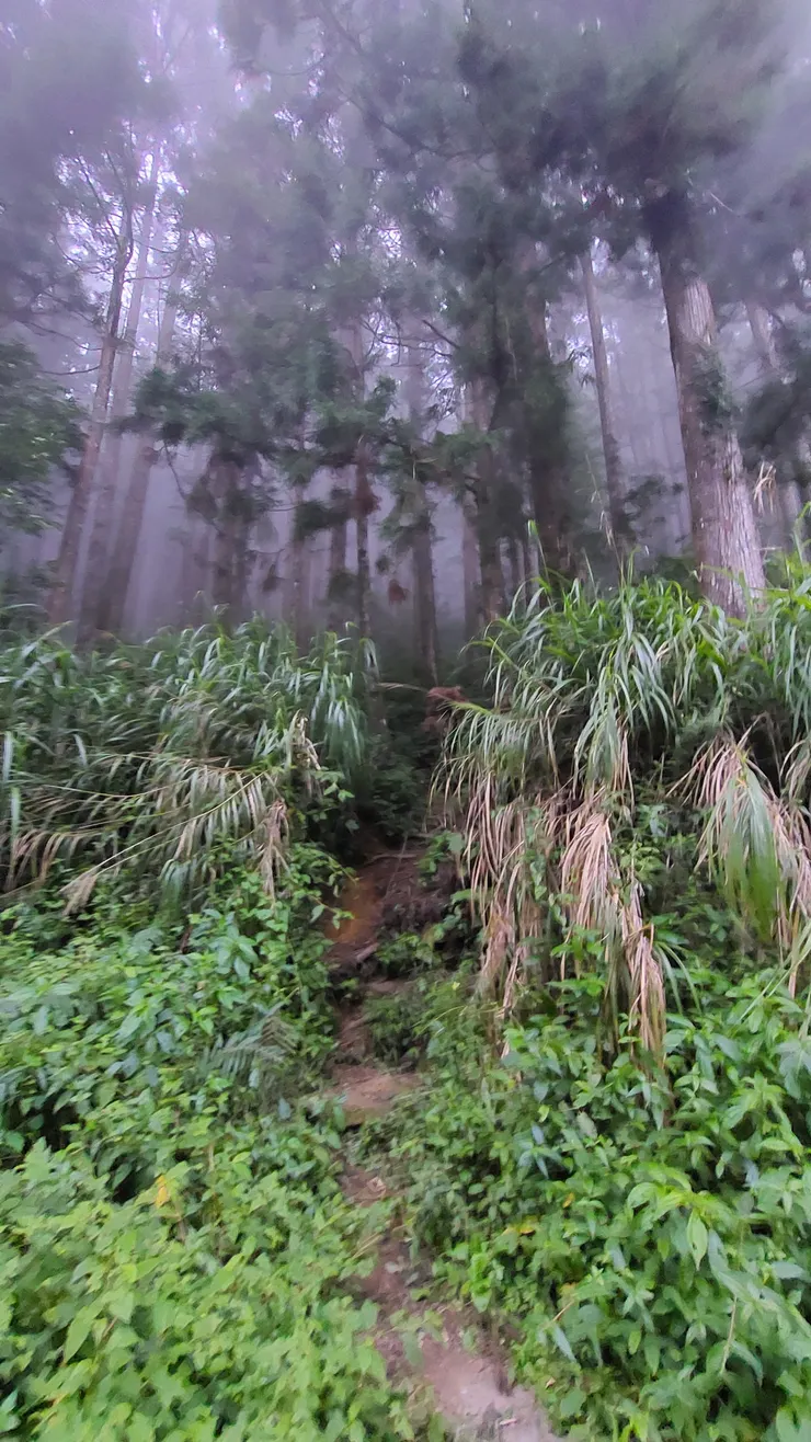 二萬坪山登山口