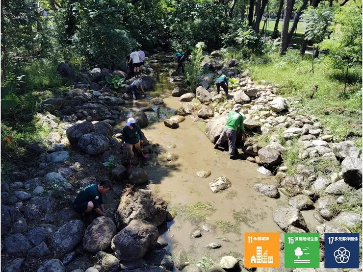 將完工前的水域景觀,雖然泥流黃濁,但至少疏通了原本淤堵河道的強勢植物