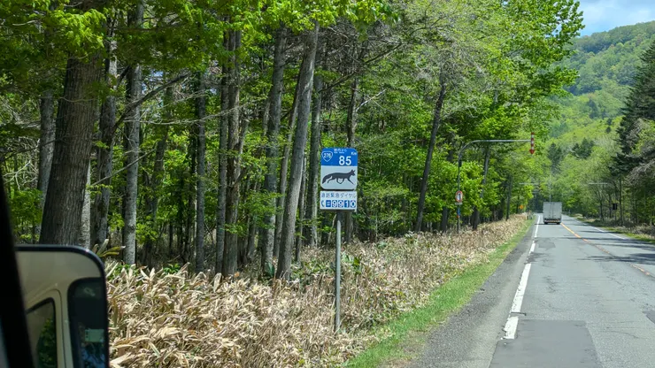 路上時不時都會出現注意動物的標示